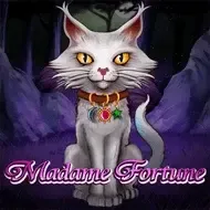 Madame Fortune game thumbnail
